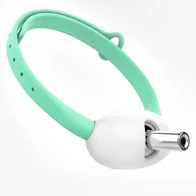 Pawffee  láser para gatos, collar interactivo para ejercicio diario - 1 pieza - Pawffee - Comparador de precios