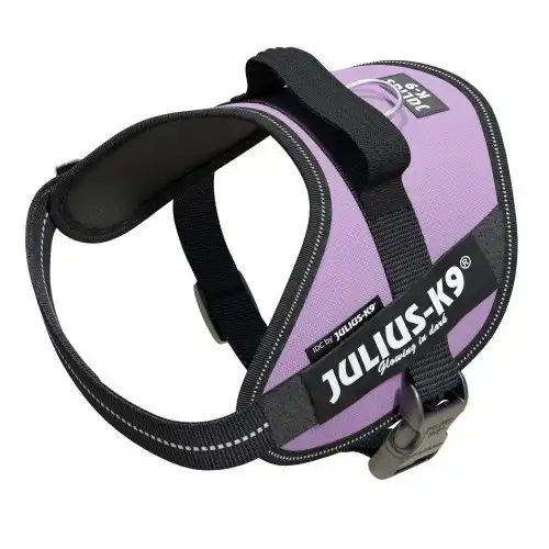 Arnés Julius K9 IDC Lila Baby 1 - Julius K9 - Comparador de precios