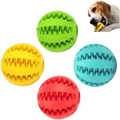 HausPets Juego de 4 pelotas perros, 5 cm – Cuidado dental – Perro pequeño - Verde, rojo, azul, amarillo - HausPets - Comparador de precios