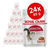 Royal Canin Feline Intense Beauty Húmedo 85 gr.