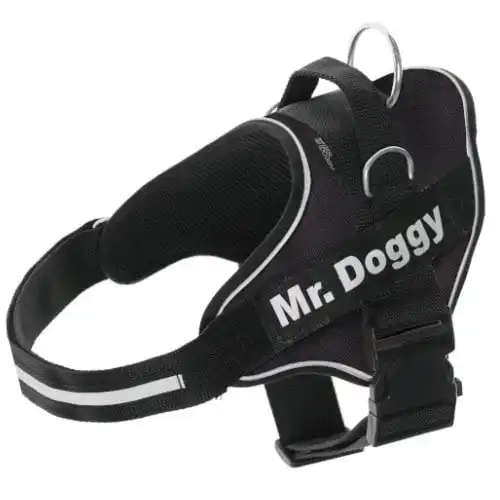 Arnés personalizado Super Doggy para perros color Negro - Super Doggy - Comparador de precios
