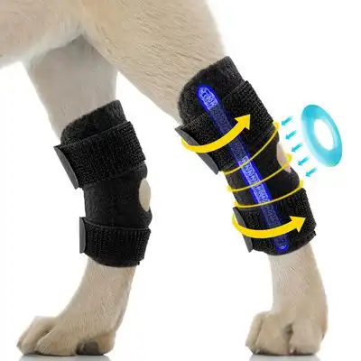 IntiMeg Cinturón de soporte para las patas traseras del perro - L [Circunferencia del muslo 11,4-25,4 cm] - IntiMeg - Comparador de precios