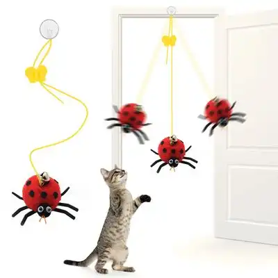 IntiMeg  colgante para gatos - Escarabajo - IntiMeg - Comparador de precios
