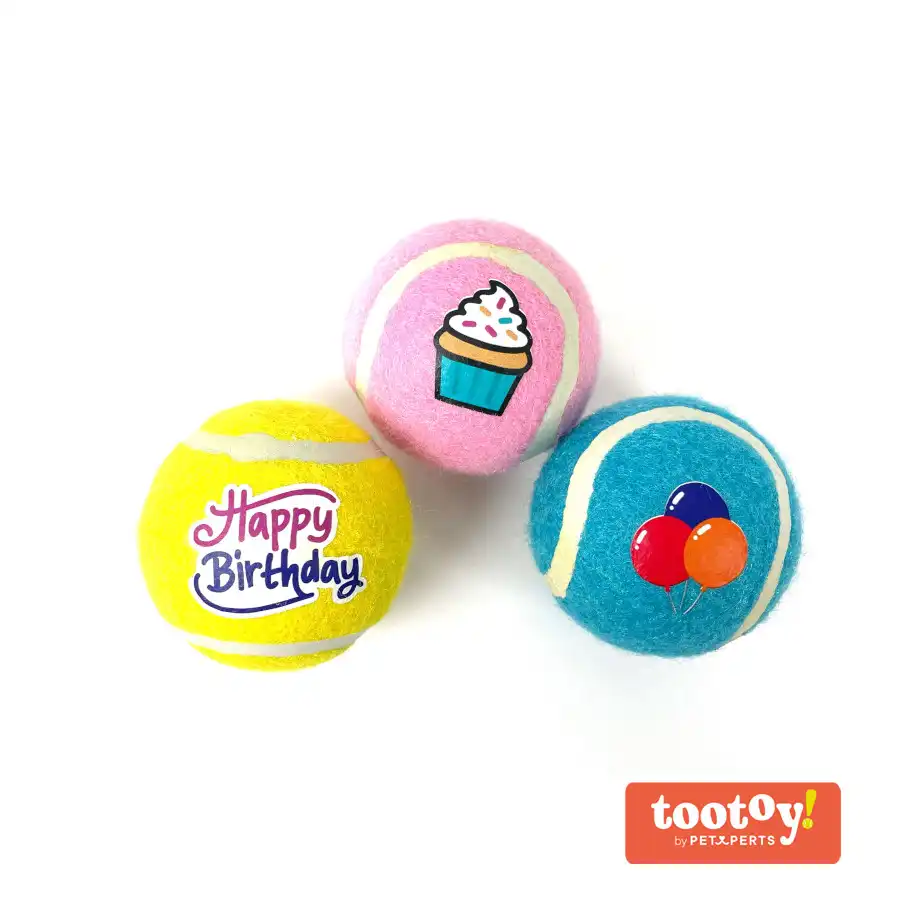 Tootoy! Comfort Happy Birthday Pack de pelotas para perro - Tootoy! - Comparador de precios