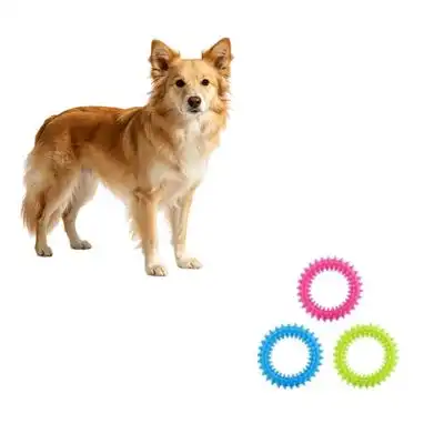 MCBOSON Juego de 3 juguetes interactivos para cachorros de 9,5 cm - 1 artículo - Mcboson - Comparador de precios