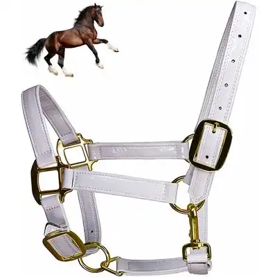 ZooVenture Cabezada de cuerda para caballo con hebilla de aleación al frío - L - Zooventure - Comparador de precios
