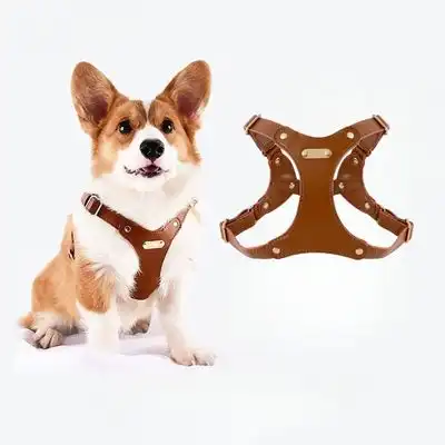 IntiMeg Arnés de cuero para perros pequeños y medianos - S - IntiMeg - Comparador de precios