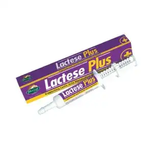 LACTESE PLUS - MERVUE - Comparador de precios