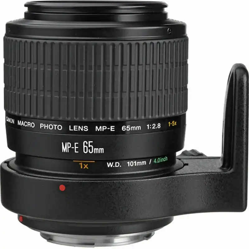 Canon Objetivo MP-E 65 mm F2.8 Macro
