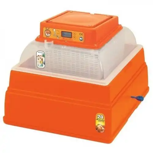 Cstore novital covatutto incubadora con pantalla digital para gallinas - Cstore - Comparador de precios