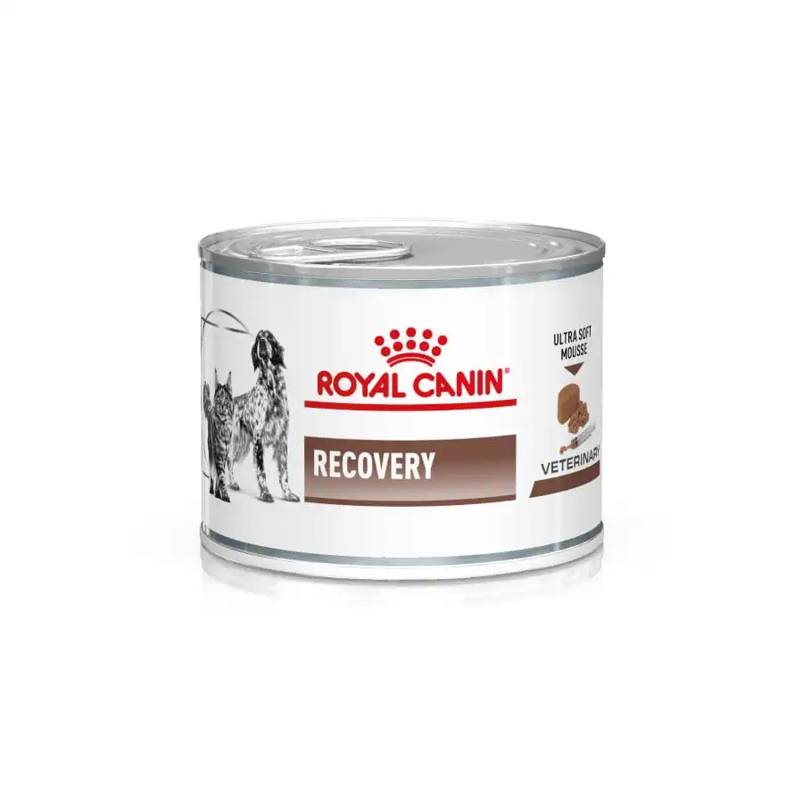 Royal Canin Canine & Feline Recovery (Lata) 195 gr.