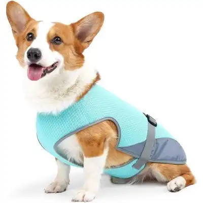 HausPets Chaleco refrescante perros - Protección UV, Malla, Mediano/Grande - Azul - HausPets - Comparador de precios