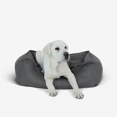 IntiMeg Cesta, sofá y cama para perros de piel sintética impermeable - L: 77*57*20 cm - IntiMeg - Comparador de precios