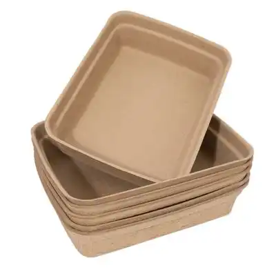 Arenero Basics desechable para gatos - 6 unidades - Zooplus Basics - Comparador de precios