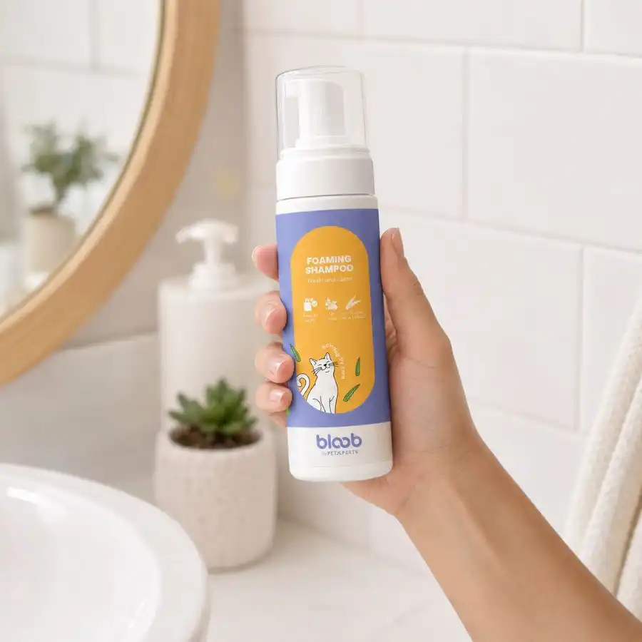 Bloob Champú Seco en Espuma para gatos - 200 ml - Bloob - Comparador de precios