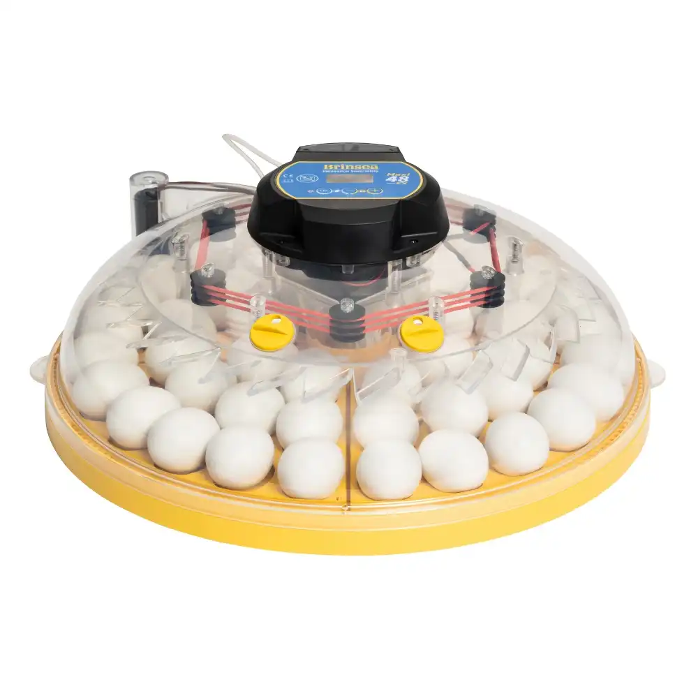 Incubadora BRINSEA Maxi 48 EX - Incubadora para 48 Huevos de gallina - Apta para Diferentes Especies o tamaños de Huevos - Fabricación Europea - 22,5 x 44,5 x 44,5 cm. - Brinsea - Comparador de precios