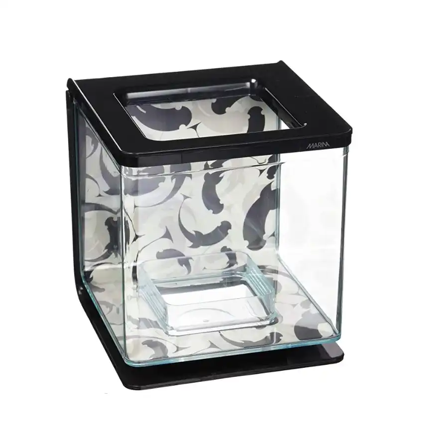 Marina MARINABETTAKIT-Ying Yang - Marina - Comparador de precios