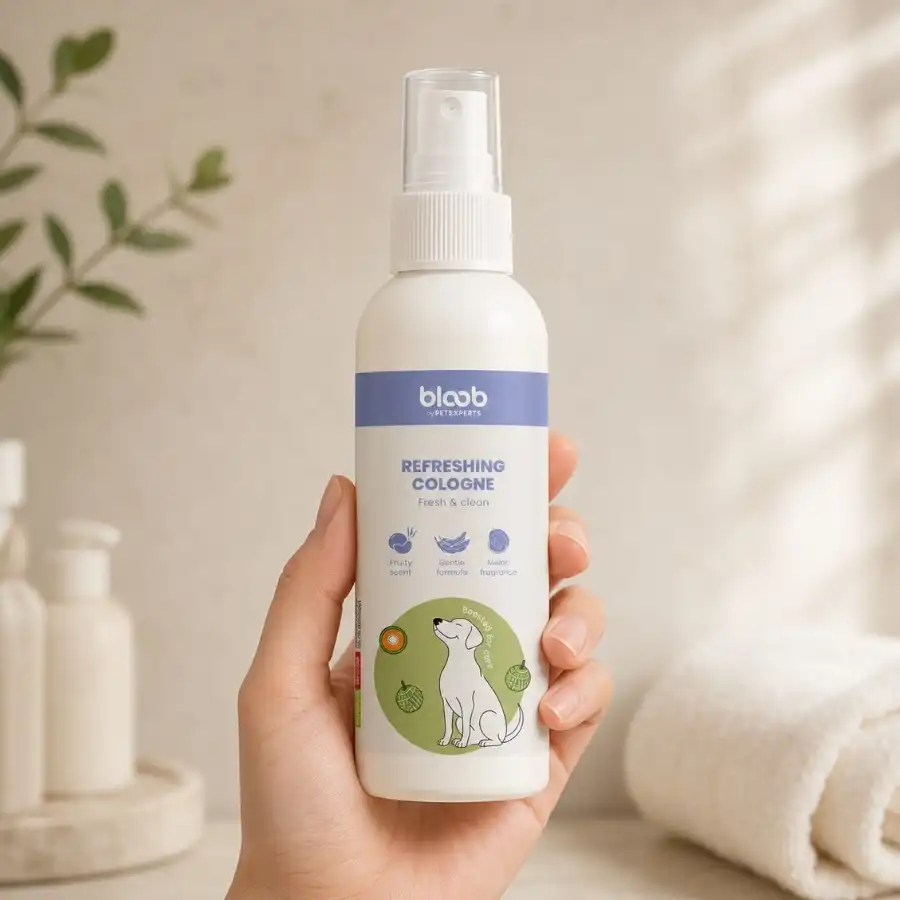 Bloob Colonia Refrescante Melón para perros - 125 ml - Bloob - Comparador de precios