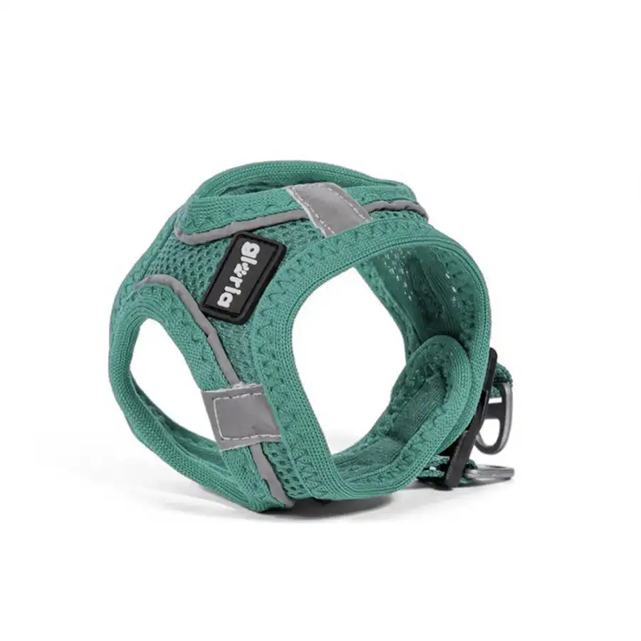 Gloria Air Mesh Trek Star Turquesa Arnés/Vestido para perros