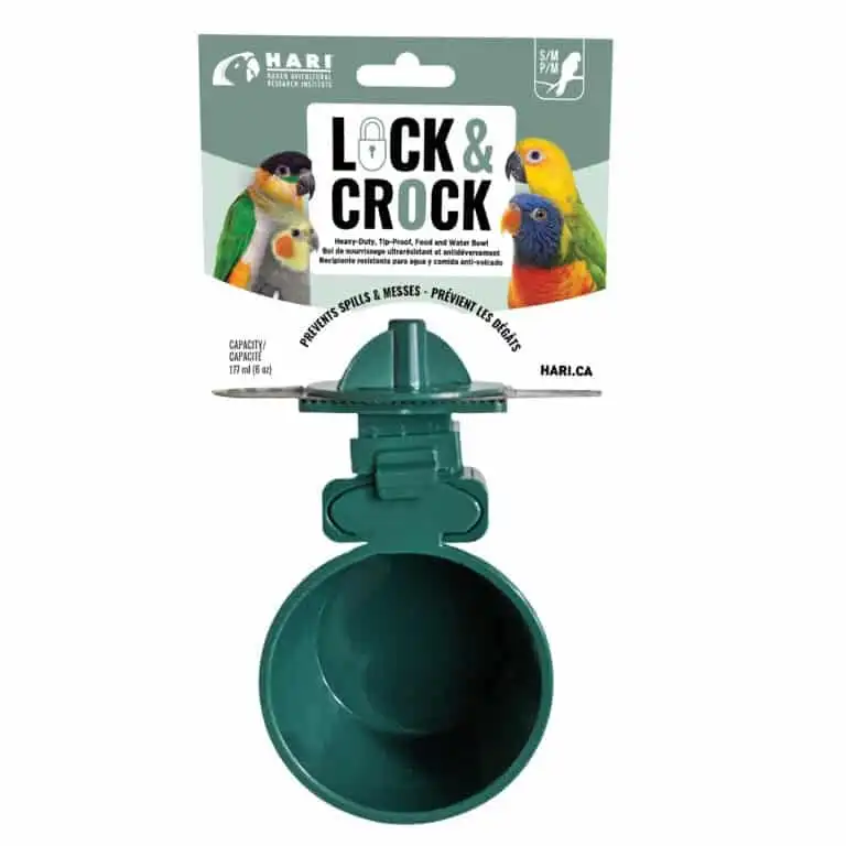 Hari Comedero Lock & Crock 177ml - 177 ml - Hari - Comparador de precios