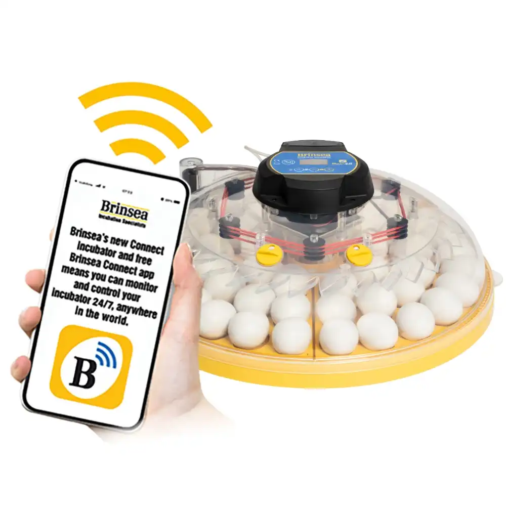 Incubadora Brinsea MAXI 48 Connect - Control Remoto desde el Móvil, Programación Digital de Temperatura, Humedad y Volteo, Enfriamiento de Huevos y Cuenta Atrás para Eclosión - 22,5 x 44,5 x 44,5 cm - Brinsea - Comparador de precios