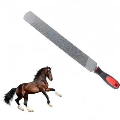 ZooVenture Lima de herrador de doble cara para caballos - Pequeño - Zooventure - Comparador de precios
