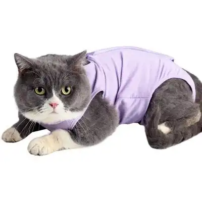 HausPets Gato Violet S postoperatorio antilamido, circunferencia 1822 cm - Púrpura - HausPets - Comparador de precios