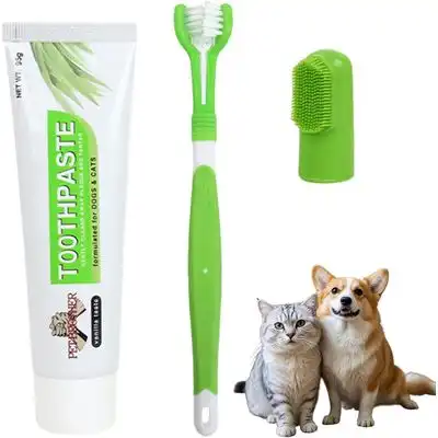 HausPets Kit cepillo dientes perros 3 piezas pasta dientes nailon - Artículo 3 - HausPets - Comparador de precios