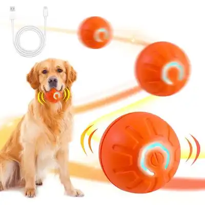 HausPets Pelota inteligente para jugar – Automática – Recargable por USB - LED automático - HausPets - Comparador de precios