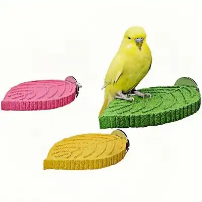 ZooVenture Muela abrasiva para percha de loro - 3 piezas - Zooventure - Comparador de precios