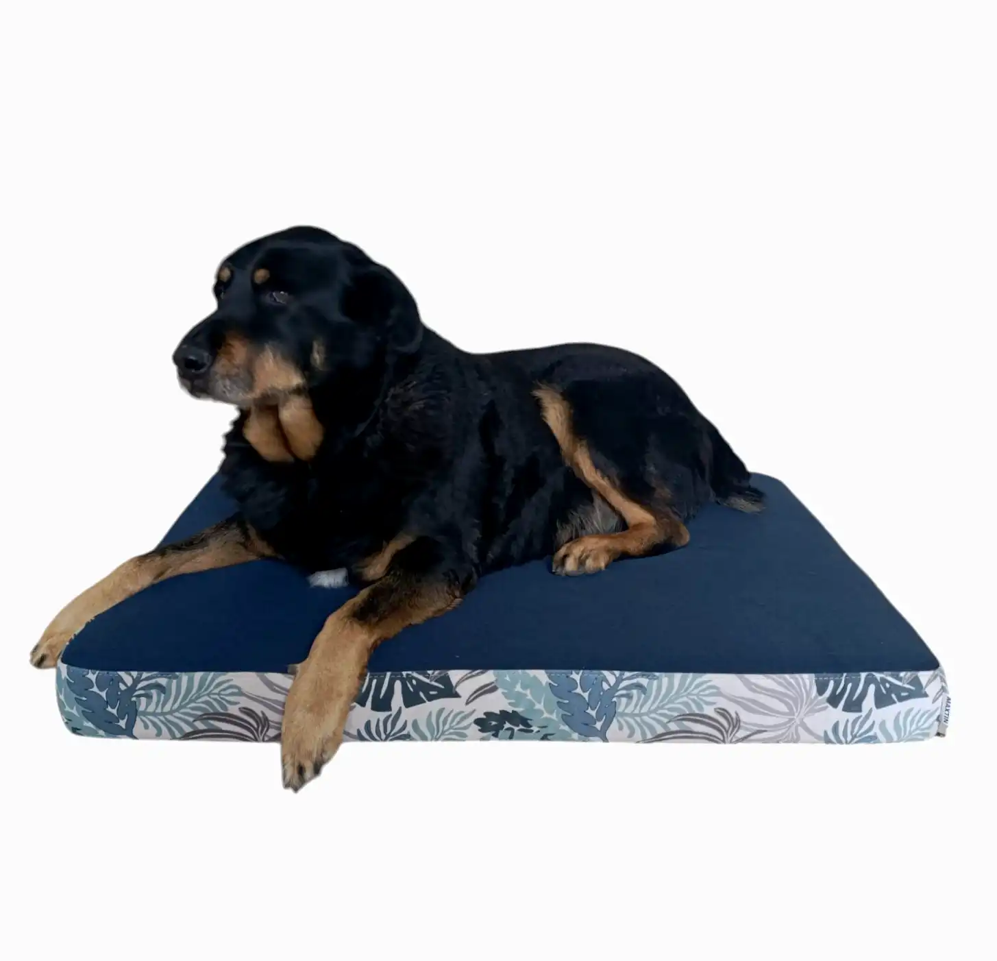 MAXTIN Cama Lulu Azul para perros - 80 x 60 x 8,5cm - Maxtin - Comparador de precios