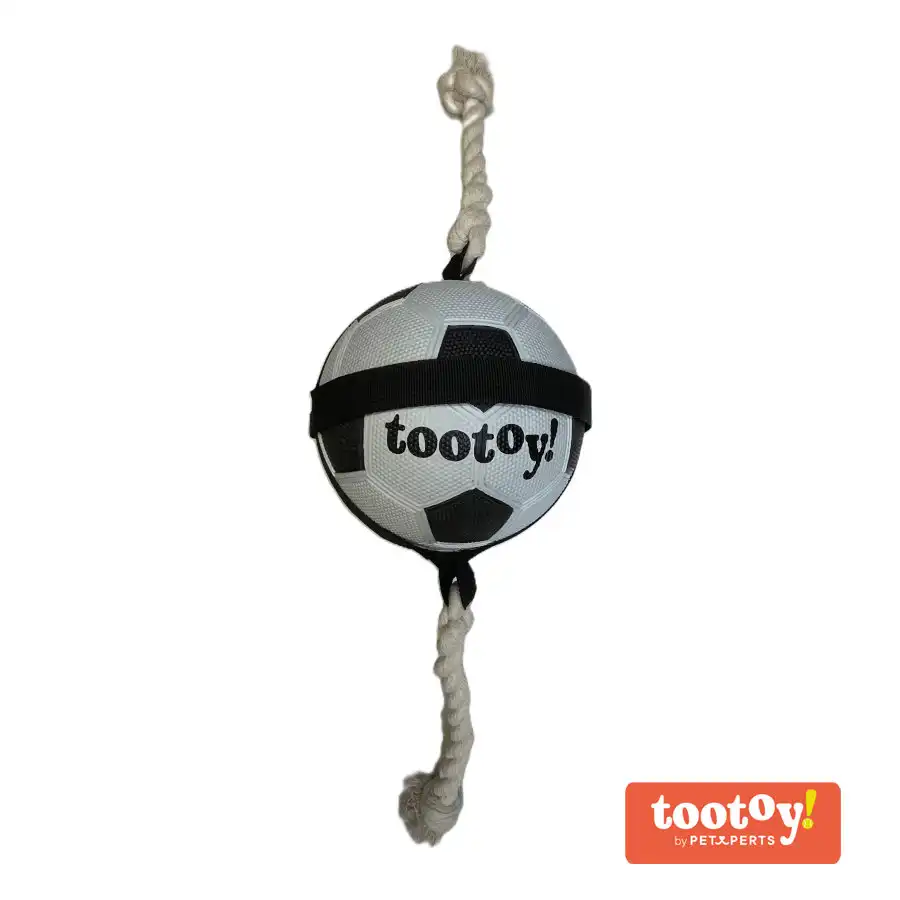 Tootoy! Chase Large Football pelota para perros - Tootoy! - Comparador de precios
