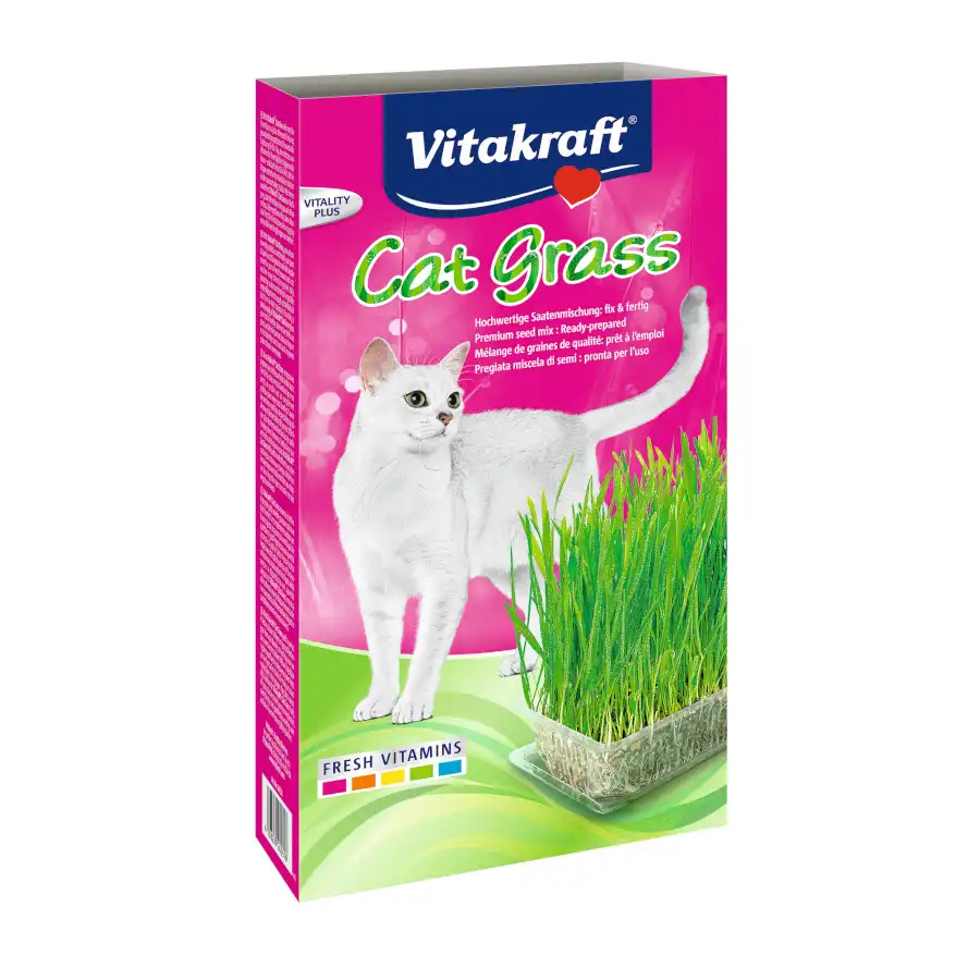 Hierba gatera Vitakraft Cat Grass