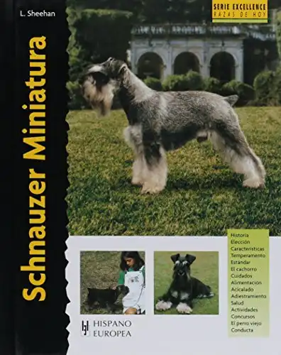 Schnauzer Miniatura (Excellence)