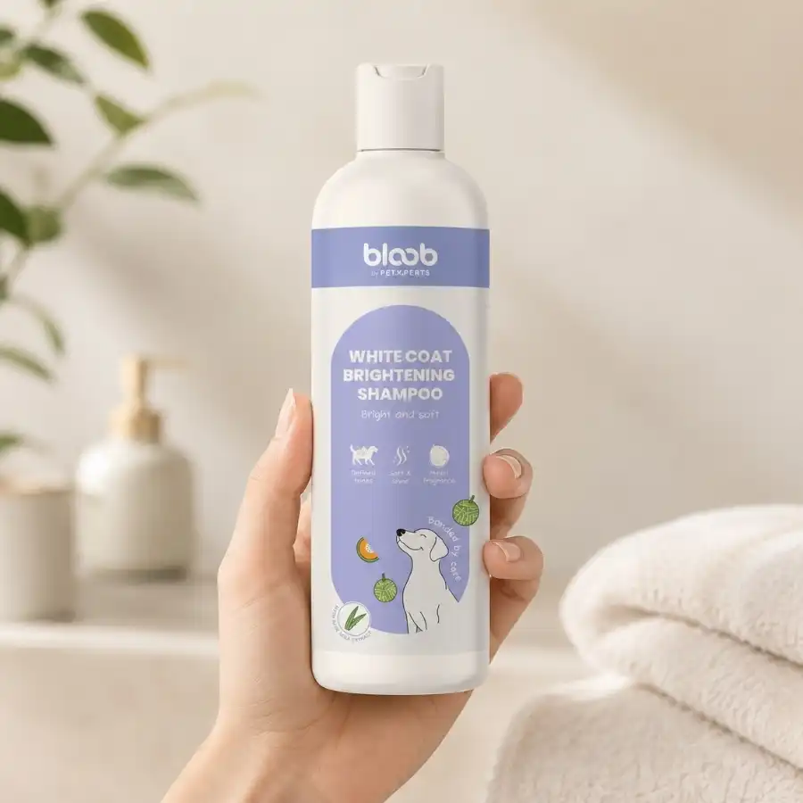 Bloob Champú Realzador Mantos Blanco Melón para perros - 750 ml - Bloob - Comparador de precios