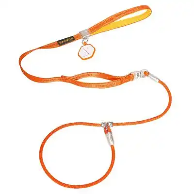 FurryFusion Correa para pasear perros con collar integrado - Artículo 1 - Furry Fusion - Comparador de precios
