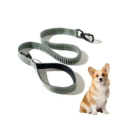 ZooVenture Correa para perros de tamaño mediano y grande - Verde - Zooventure - Comparador de precios