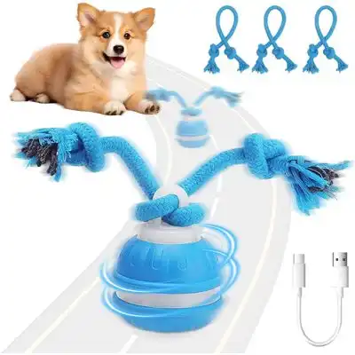 HausPets Bola eléctrica con rodamiento automático – Recargable - Eléctrico - HausPets - Comparador de precios