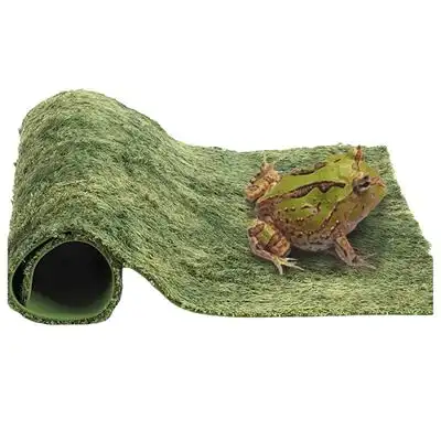 IntiMeg Alfombrilla de espuma para reptiles - 40×25cm - IntiMeg - Comparador de precios