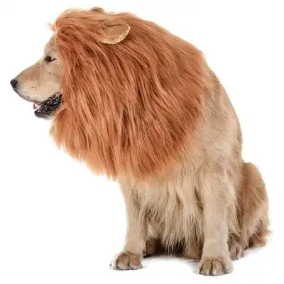 IntiMeg Tocado de león de fantasía de Halloween para perros - L: Circunferencia del cuello 80 cm - IntiMeg - Comparador de precios