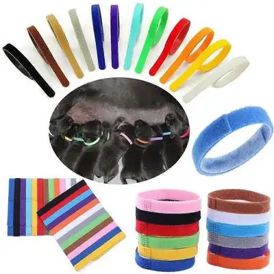 MCBOSON Collares de identificación para cachorros de perros y gatos - M-10*300MM - Mcboson - Comparador de precios