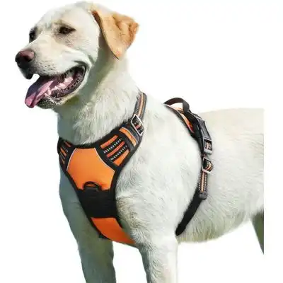 Pawffee Arnés para perros grandes: modelo ajustable reflectante antitirones - 1 pieza - Pawffee - Comparador de precios