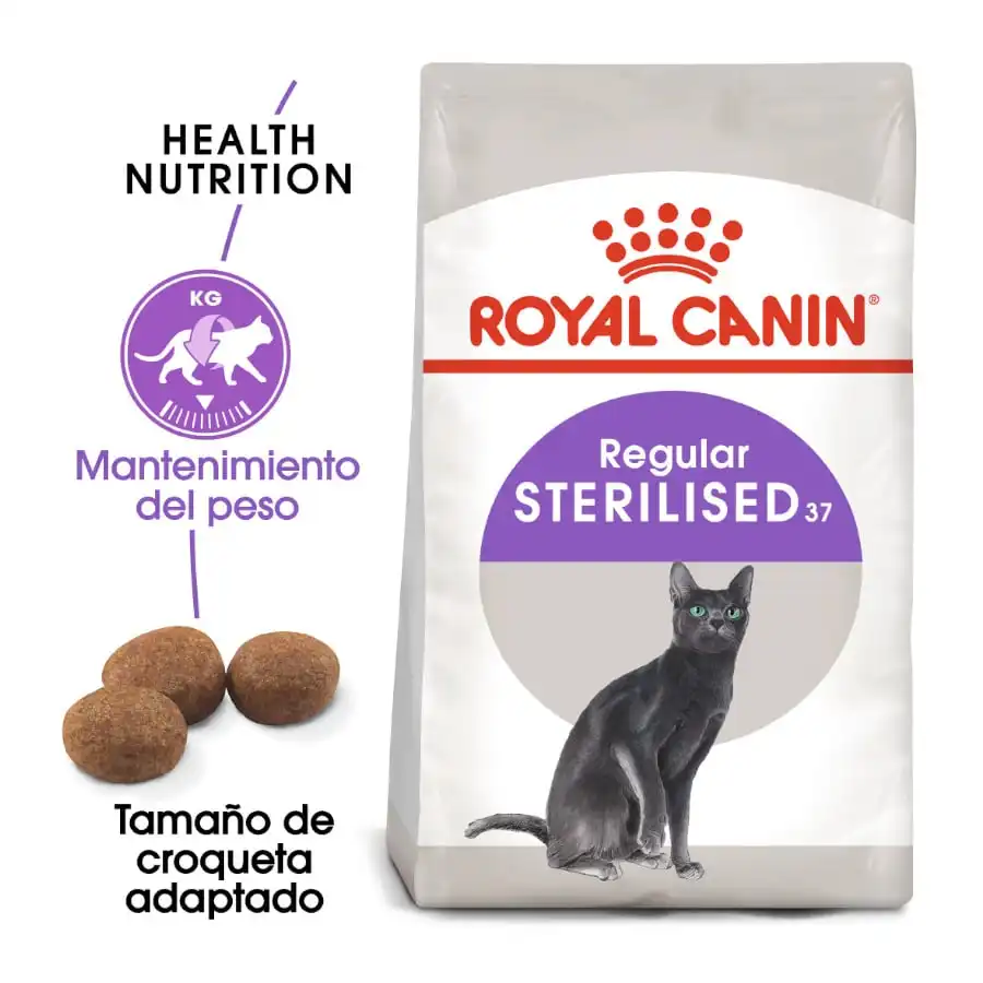 Royal Canin Regular Sterilised 37 pienso para gatos