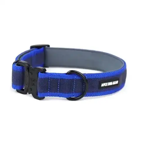APEX DOG GEAR collar ajustable con cierre metálico azul para perros - Apex Dog Gear - Comparador de precios