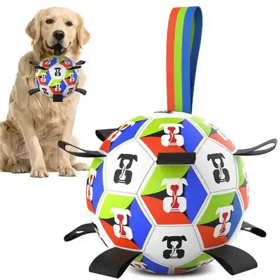 Pawffee Fútbol interactivo para perros - Artículo 1 - Pawffee - Comparador de precios