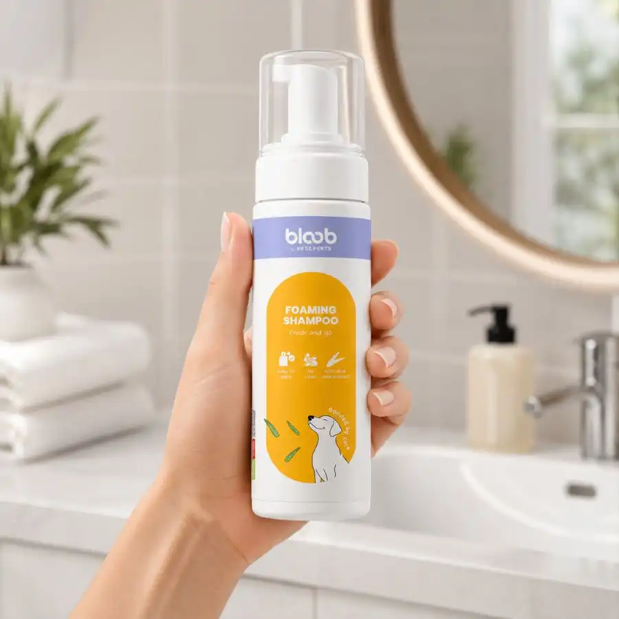 Bloob Champú Seco en Espuma para perros - 200 ml - Bloob - Comparador de precios
