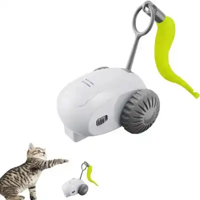 FurryFusion  eléctrico para gatos con control remoto - Gris - Furry Fusion - Comparador de precios