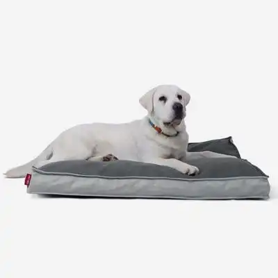 IntiMeg Cama rectangular impermeable para perros - XL: 112*81*7,5 cm - IntiMeg - Comparador de precios