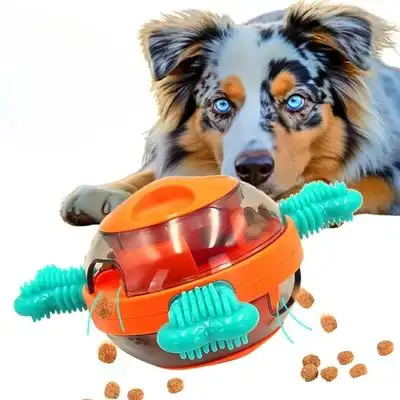 IntiMeg Pelota de juguete TPR para perros, para limpiar los dientes - Una pieza - IntiMeg - Comparador de precios