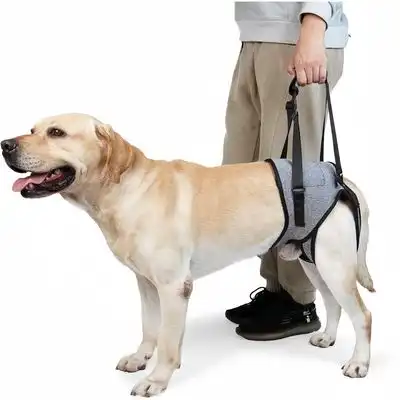 ZooVenture Arnés para levantar perros - METRO - Zooventure - Comparador de precios